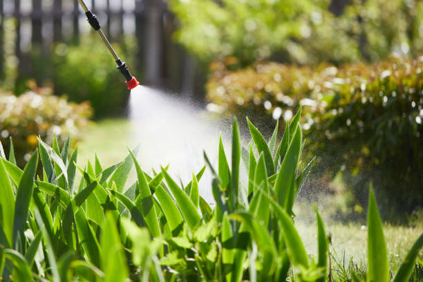 24/7 Emergency Fumigation Services experts in Decatur, AR