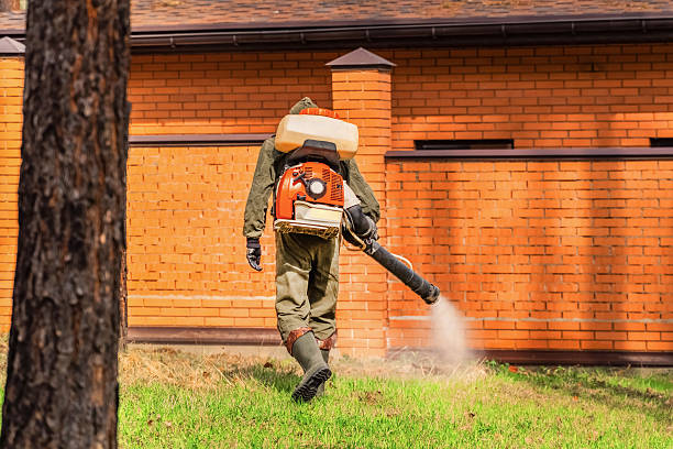Top rated local Fumigation Services specialists in Decatur, AR